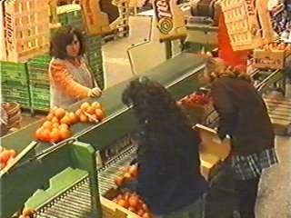 naranjas (7)  ALIMENTOS MERCADO
